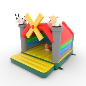 Castello gonfiabile 4,5x3,6...
