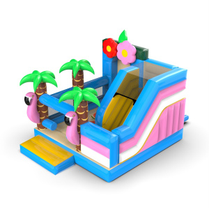Gonfiabile con scivolo - combinazione hawaiana