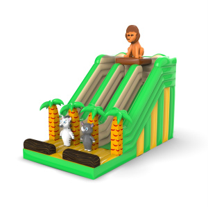 Scivolo gonfiabile doppio a...