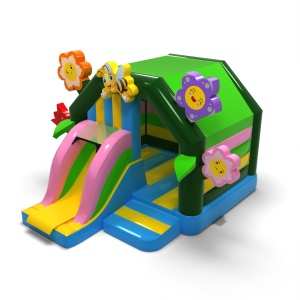 Il paese delle meraviglie...